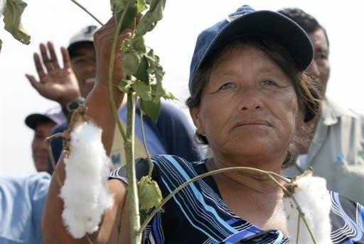 Brasil aplicará sanción comercial a EEUU por subsidios de algodón