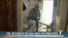 Reportan más de mil casos de malaria en Panamá Este