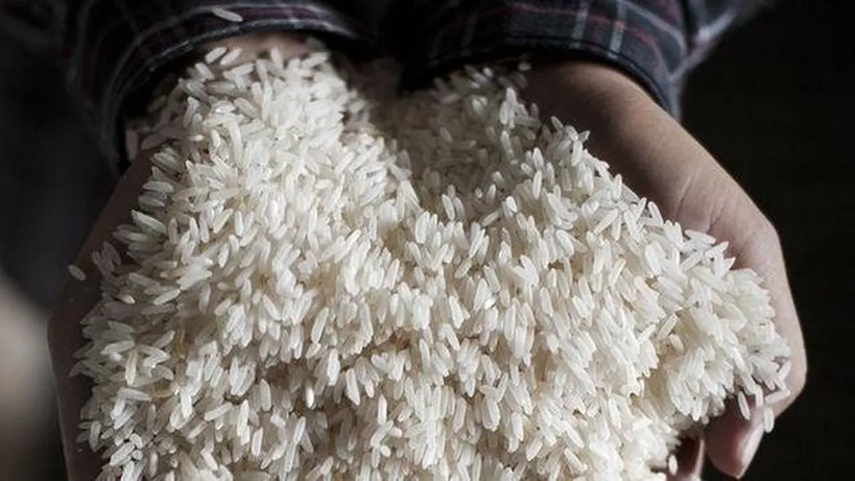 Audiencia por querella presentada a empresas empacadoras de arroz fue pospuesta.