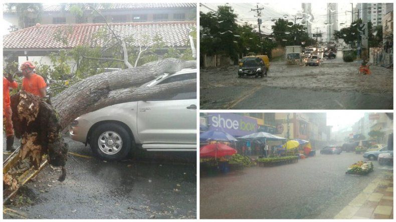 Caída de árboles e inundaciones producto de las lluvias