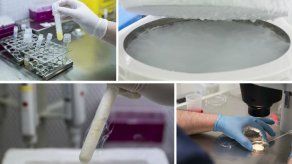 Ser madre es posible