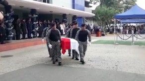 Dan último adiós a lince que murió en accidente en Las Acacias Dan último adiós a lince que murió en accidente en Las Acacias