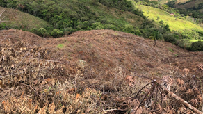 MiAmbiente en la Reserva Forestal El Montoso