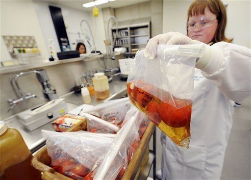 EU: brote de salmonela vinculado a tomates