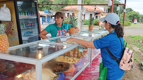 Festival Nacional de la Mejorana: MINSA realiza operativos en Guararé