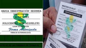Carné verde de manipuladores de alimentos: MINSA anuncia dónde retirarlo