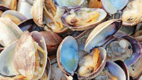 Enciende la pasión con estos alimentos afrodisíacos