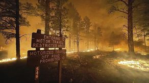 El fuego alcanzó al observatorio la madrugada del viernes.