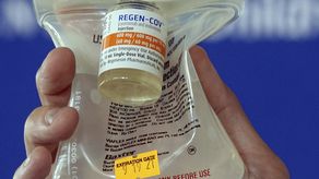 Pero ambos productores advirtieron recientemente que las pruebas en laboratorios indican que sus terapias serán mucho menos potentes contra ómicron, que contiene decenas de mutaciones que dificultan para los anticuerpos atacar el virus.