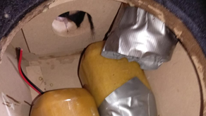 Inspectores de la Autoridad Nacional de Aduanas