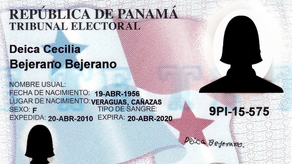 Tribunal Electoral, cédula por primera vez