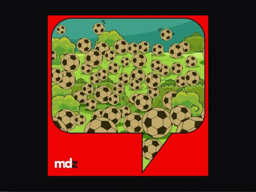 Encuentra la tortuga en 3 segundos. Encuentra la tortuga en 3 segundos.