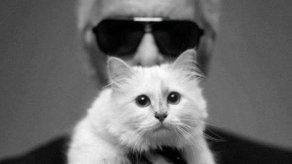 La gata de Karl Lagerfeld no ha sido finalmente su principal heredera