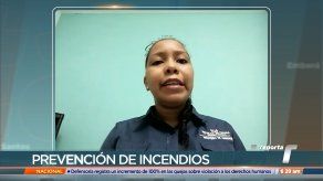 La mayoría de los incendios de masa vegetal son producto de la intervención del hombre