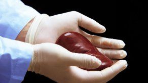 CSS pide decir sí a la vida a través de la donación de órganos