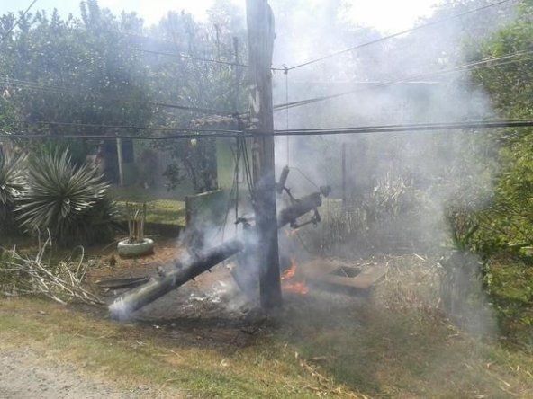 Fuertes vientos en Chiriquí, árboles caen sobre casas y postes