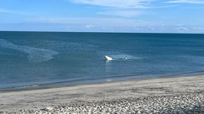 El director de Aeronáutica Civil señaló que la avioneta, Piper PA-34 Seneca, es privada y salió del aeropuerto de Río Hato.