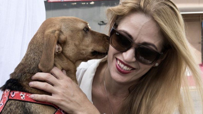 Por primera vez en América Latina un perro asiste a un juicio como víctima de maltrato
