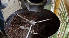 Exportaciones de café de Guatemala suben 8