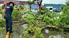 Caída de árboles e interrupción de la electricidad en diferentes puntos de Panamá.
