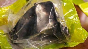 Revelan elementos hallados en la casa de Tsarnaev