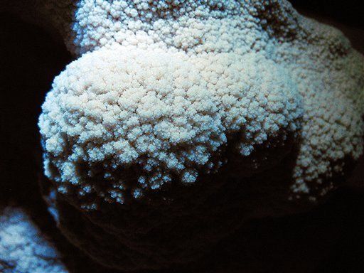Descubren caverna continua más larga del mundo