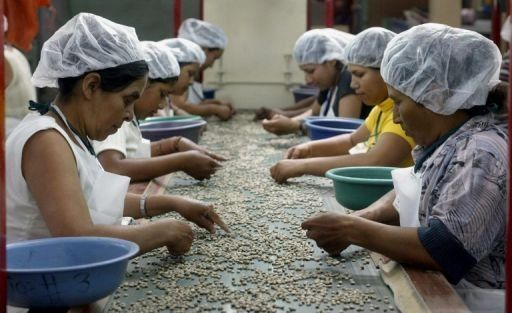Cafeteros de Colombia marchan por subsidios