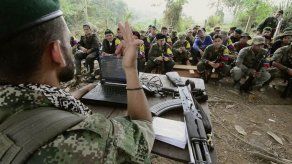 Clases para dejar la guerra: las FARC aprenden de paz en la selva