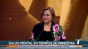 Herrera habla sobre salud mental y resultados de investigación sobre supuestos abusos en Insam