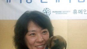 Corea del Sur entrega primeros perros en adopción para dejar de comerlos