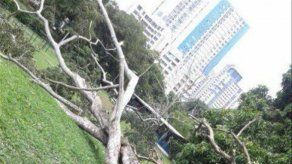 Avanzan trabajos de limipeza para reapertura de Parque Omar