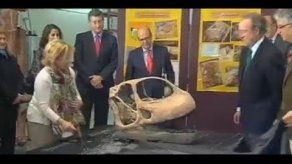 Hallan en España el cráneo del dinosaurio más grande de Europa