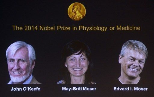 Premio Nobel de Medicina a los tres descubridores de un GPS interno cerebral