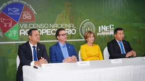 Censo Nacional Económico