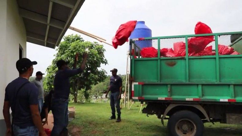 MUPA se disculpa tras la aparición de video donde se mostraba el depósito de restos en fosa común