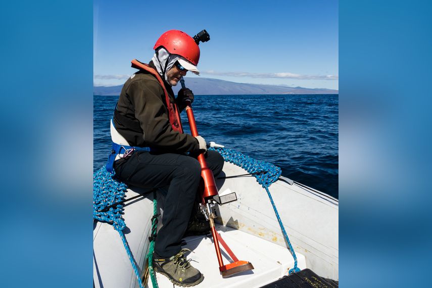 Héctor Guzmán, científico de STRI y autor principal. Héctor Guzmán, científico de STRI y autor principal.