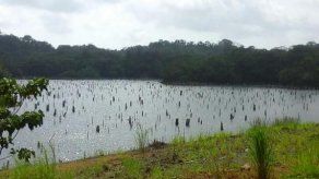IDAAN insiste en ahorro de agua ante temporada seca entre octubre y abril