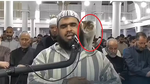 El gato se subió al hombro del jeque para pedir cariño