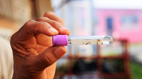 MINSA reporta 12 muertes por influenza