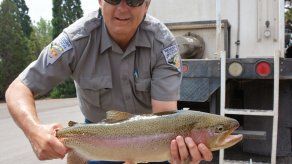 Rescatan de sequía a miles de peces en Nevada