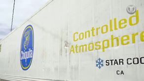 MITRADEL confirma 500 nuevos contratos laborales en la empresa Chiquita Panamá.