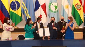 La norma reordena las instituciones competentes para garantizar, de acuerdo con su edad, el ejercicio permanente de los derechos de la niñez.