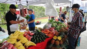 En las ferias RIMMU se ofrecen alimentos de calidad a los panameños.&nbsp;