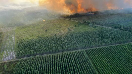 Más de 200 personas reforzarían también el equipo de 1.500 bomberos que combatían día y noche los incendios en los secos pinares de Gironde.
