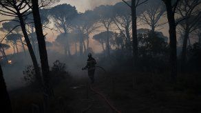 Incendio forestal deja 2 muertos en Francia