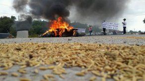 Productores de arroz cierran vía Interamericana en Coclé