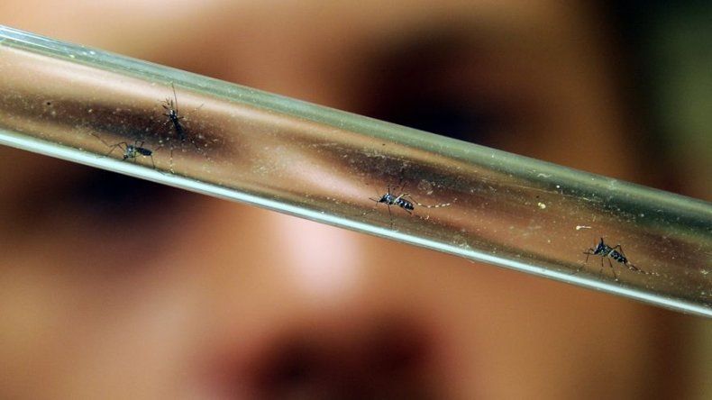El Salvador: Emergencia focalizada por dengue y Chikungunya