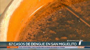 Reportan 67 casos de dengue en San Miguelito