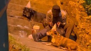 José Luis Matos junto a sus perros: Nena y Shagy.