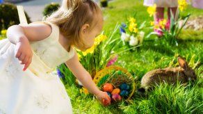 ¿Por qué los huevos y los conejos son símbolos de la Pascua?